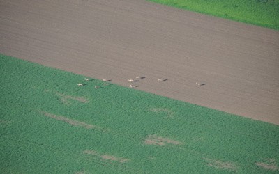 Natursteinstone4you Ballonfahrt (109)