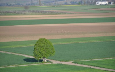 Natursteinstone4you Ballonfahrt (110)